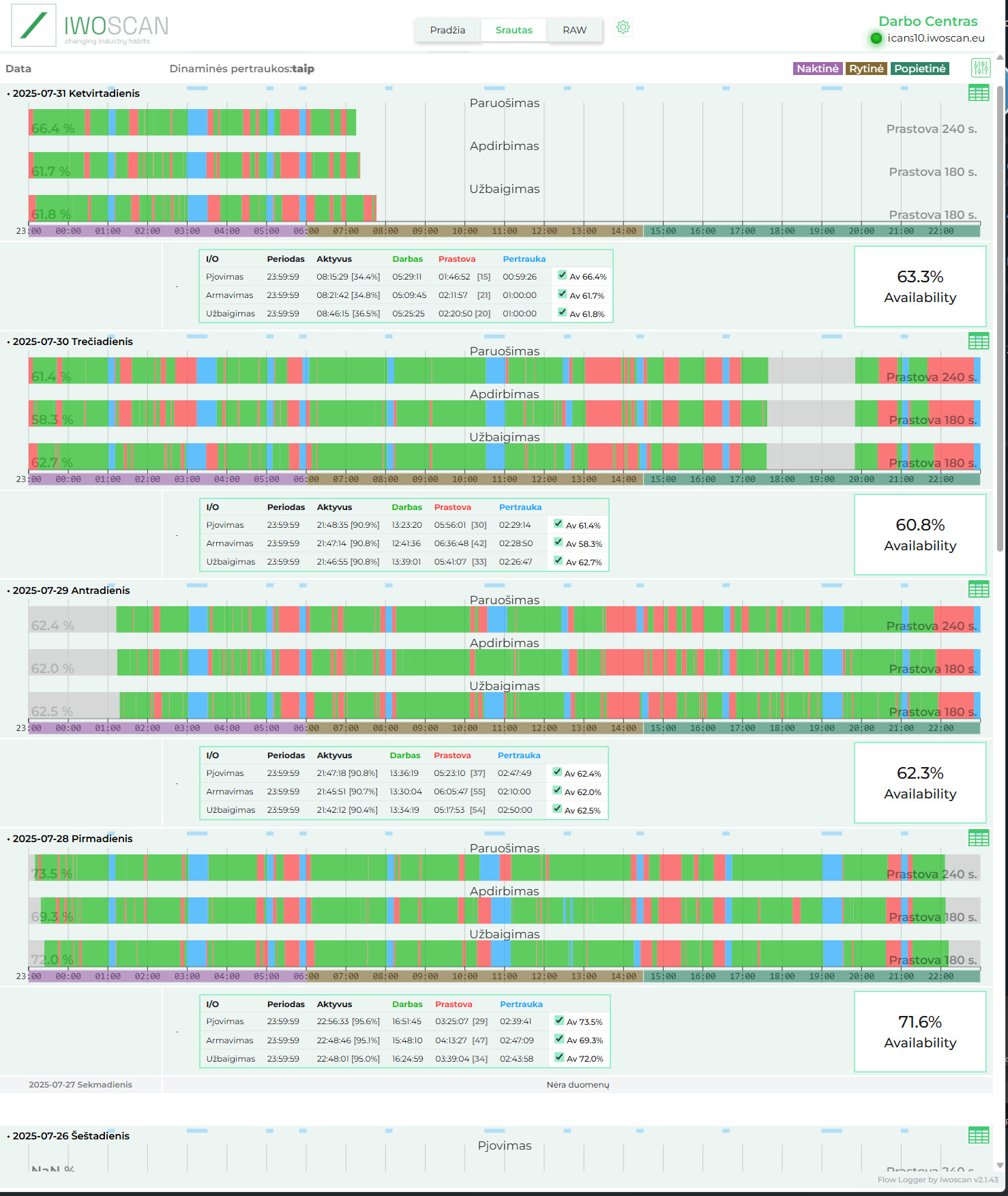 Iwoscan detali darbo centro veiklos analizė